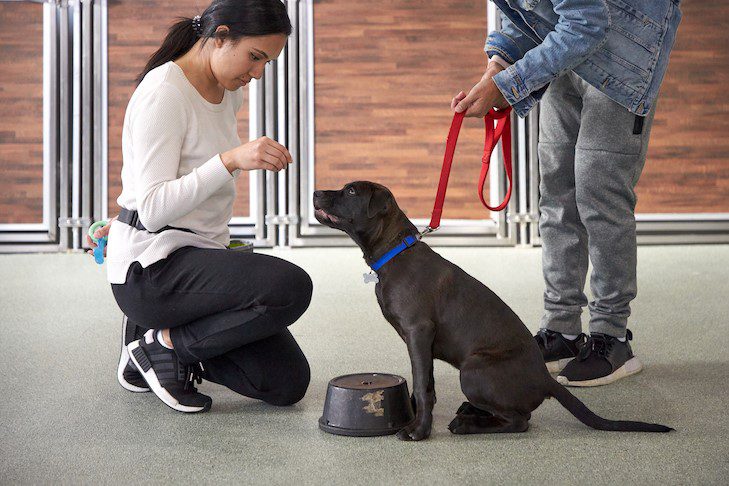 A woman is petting a black dog on a leash.