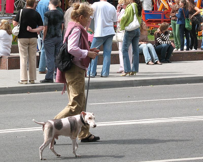 A woman walking a dog on a leash.