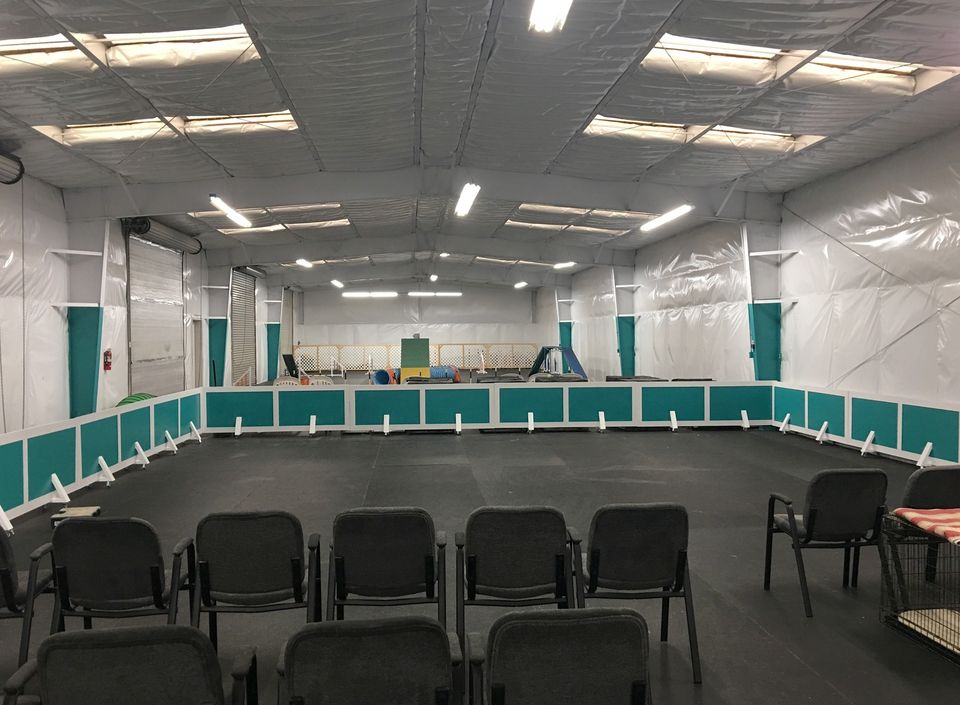 A large room with chairs and green walls.