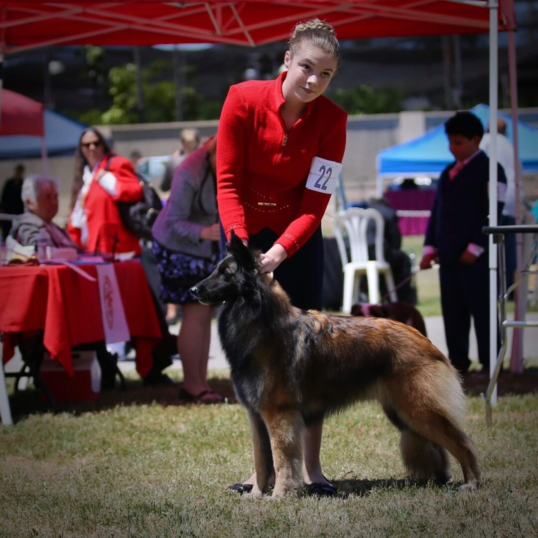 A woman is standing next to a dog at a dog show.