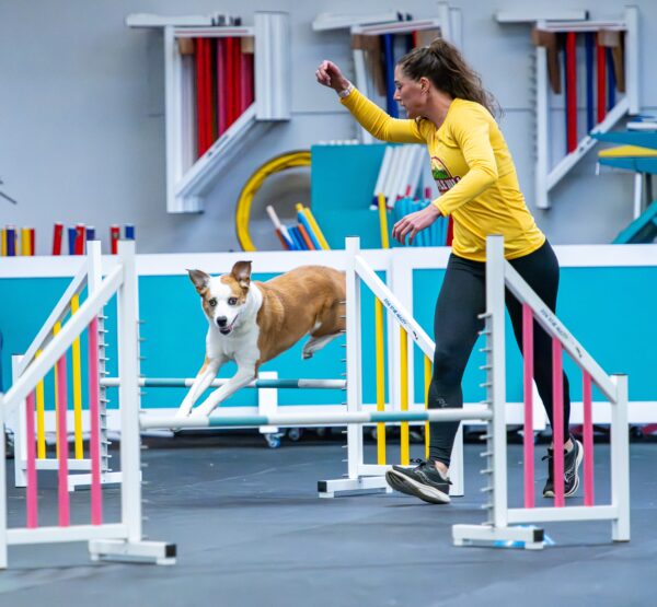 Agility 2