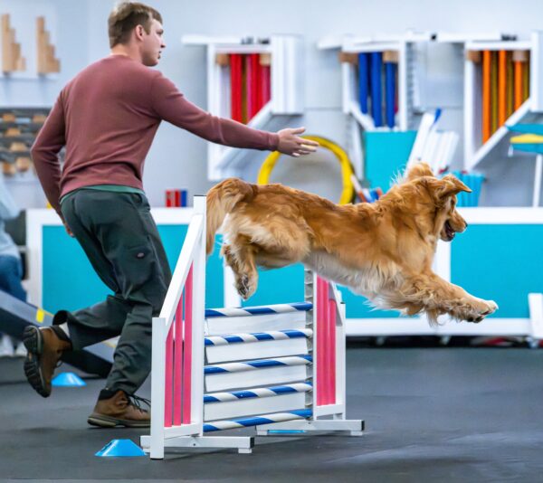 Agility Foundation 3