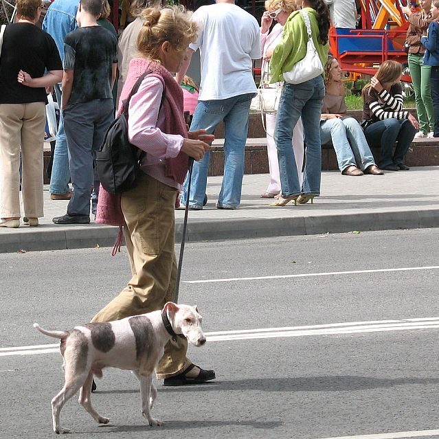 A woman walking a dog on a leash.