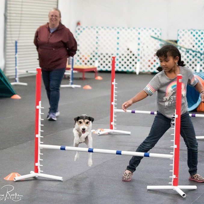 IMG_0472 - Copy - Copy - Copy - Copy A girl and a dog jumping over an obstacle course.