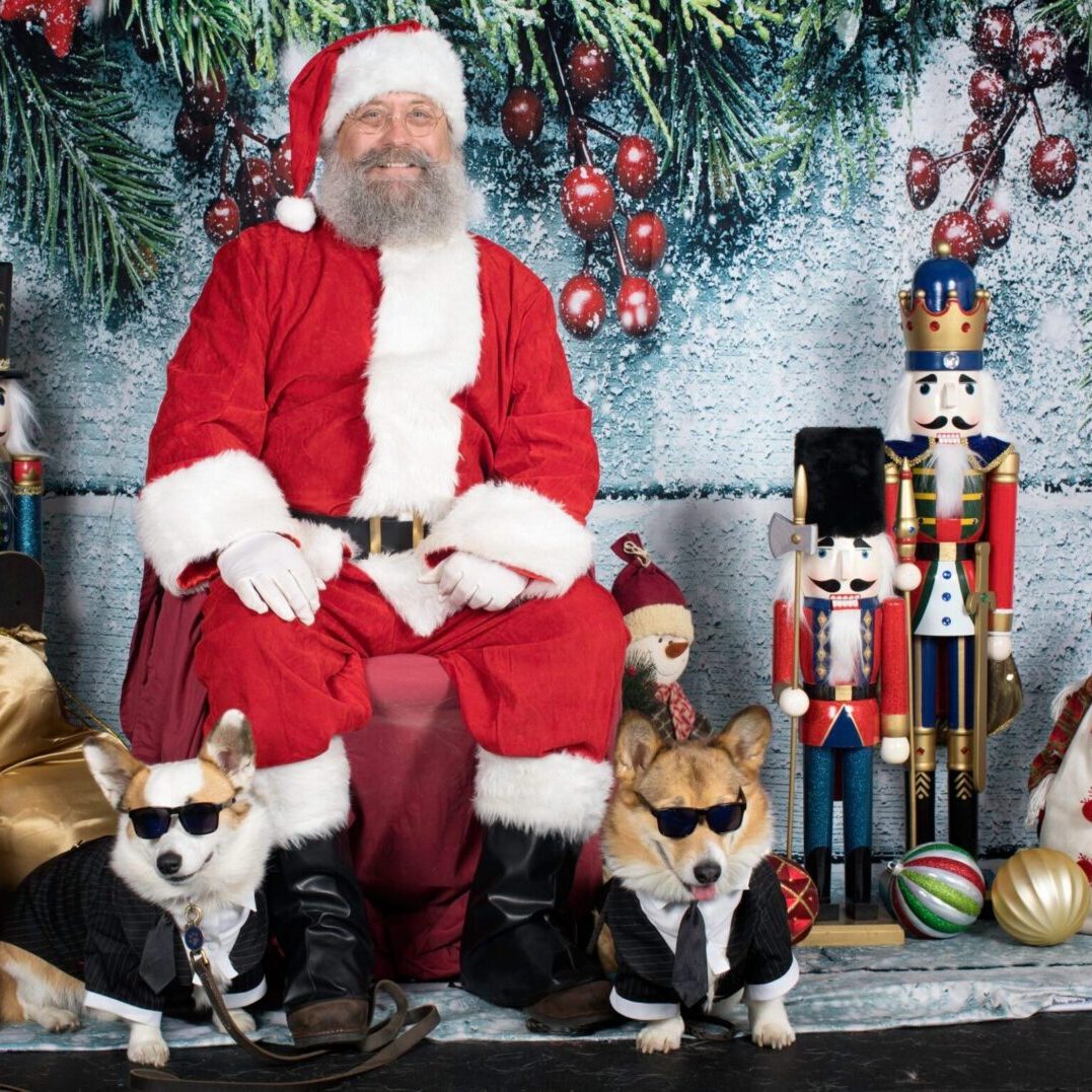 MIB Corgis and Santa