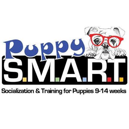 puppy smart web info